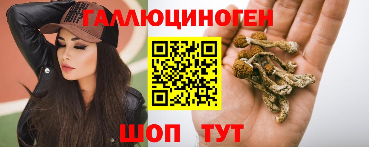 Псилоцибиновые грибы Psilocybine cubensis Александров